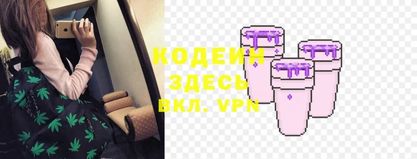 ГАЛЛЮЦИНОГЕННЫЕ ГРИБЫ Алзамай