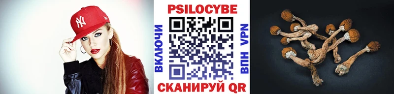 Галлюциногенные грибы Cubensis  Зея 