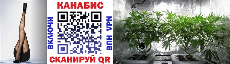 Марихуана Bruce Banner  сколько стоит  ОМГ ОМГ как зайти  Зея 